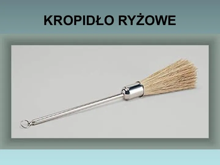 KROPIDŁO RYŻOWE