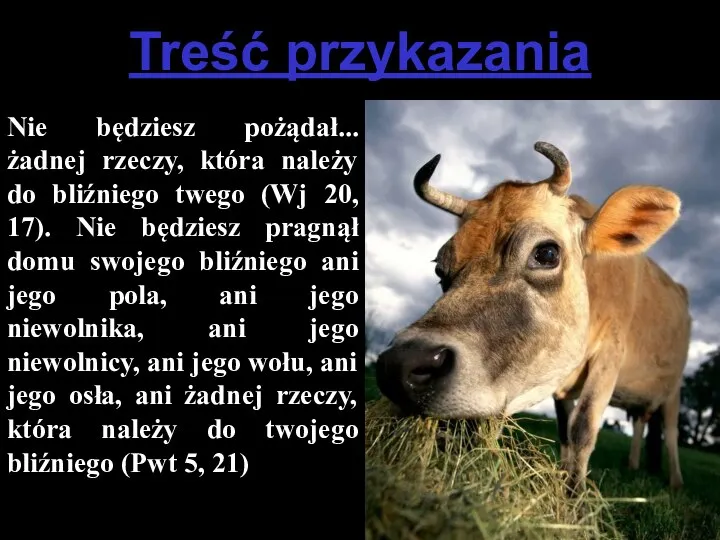 Treść przykazania Nie będziesz pożądał... żadnej rzeczy, która należy do bliźniego