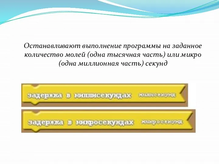 Останавливают выполнение программы на заданное количество молей (одна тысячная часть) или микро (одна миллионная часть) секунд