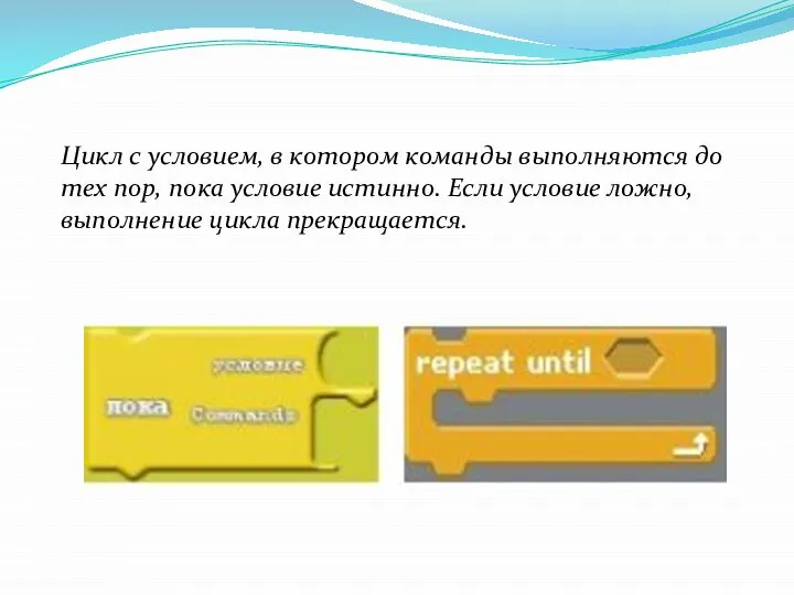 Цикл с условием, в котором команды выполняются до тех пор, пока