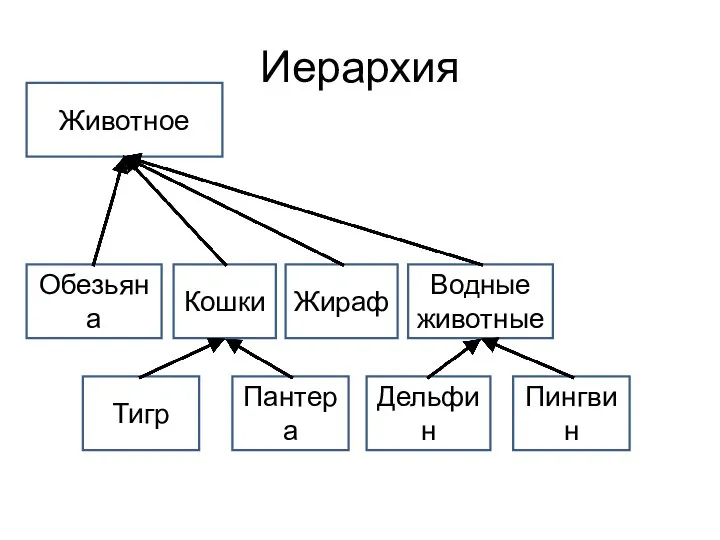 Иерархия Животное Обезьяна Пантера Жираф Водные животные Кошки Тигр Пингвин Дельфин