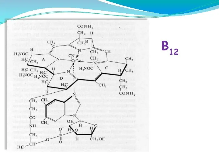 B12