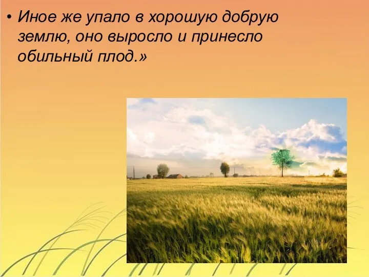 Иное же упало в хорошую добрую землю, оно выросло и принесло обильный плод.»