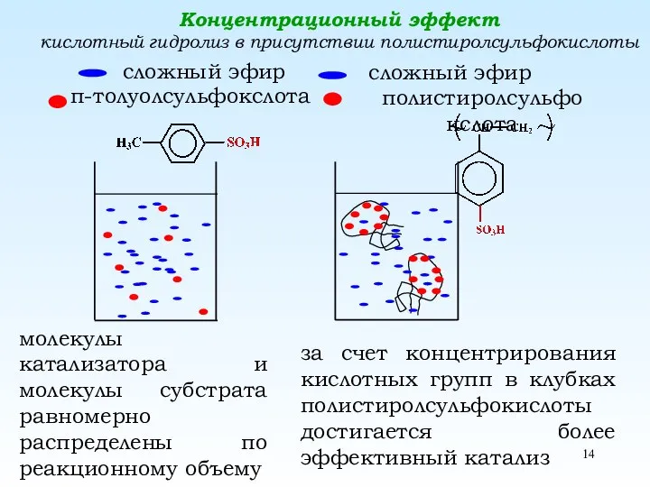 Концентрационный эффект кислотный гидролиз в присутствии полистиролсульфокислоты сложный эфир п-толуолсульфокслота сложный