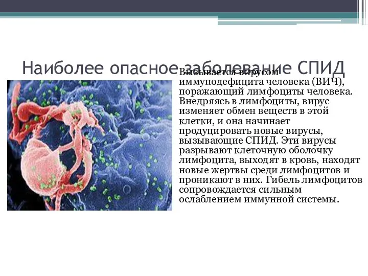 Наиболее опасное заболевание СПИД Вызывается вирусом иммунодефицита человека (ВИЧ), поражающий лимфоциты