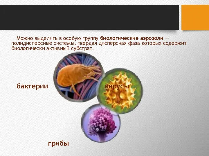 Можно выделить в особую группу биологические аэрозоли — полидисперсные системы, твердая