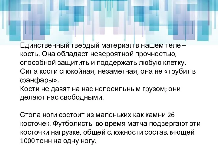 Единственный твердый материал в нашем теле – кость. Она обладает невероятной