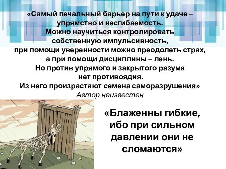 «Самый печальный барьер на пути к удаче – упрямство и несгибаемость.