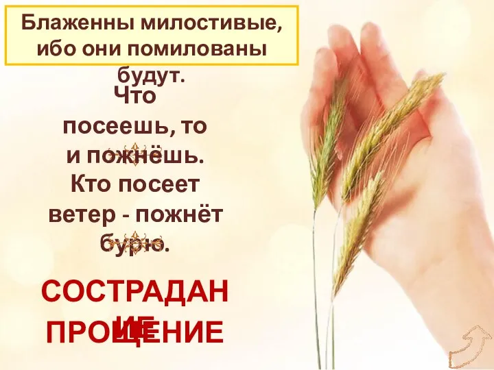 Блаженны милостивые, ибо они помилованы будут. Что посеешь, то и пожнёшь.