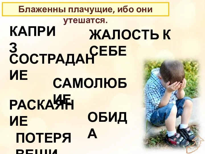 Блаженны плачущие, ибо они утешатся. КАПРИЗ САМОЛЮБИЕ СОСТРАДАНИЕ ЖАЛОСТЬ К СЕБЕ РАСКАЯНИЕ ПОТЕРЯ ВЕЩИ ОБИДА