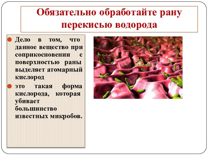 Обязательно обработайте рану перекисью водорода Дело в том, что данное вещество