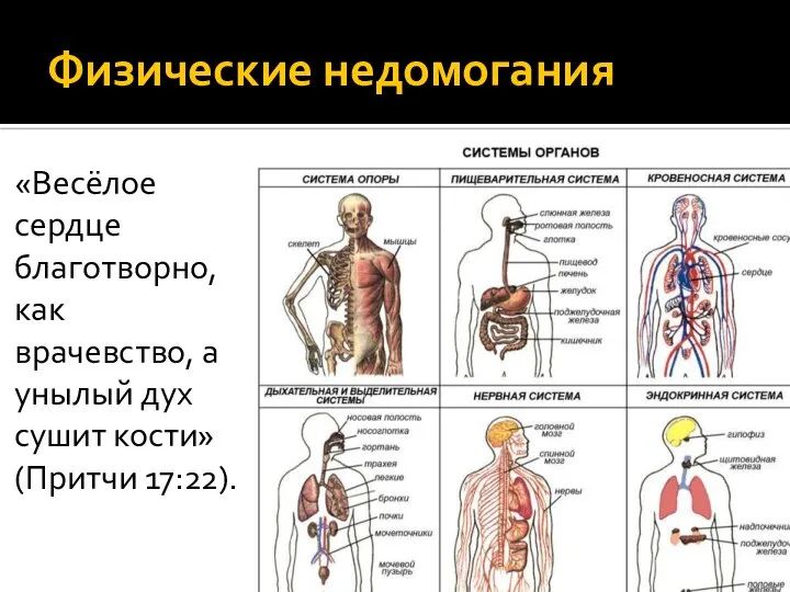 Физические недомогания «Весёлое сердце благотворно, как врачевство, а унылый дух сушит кости» (Притчи 17:22).