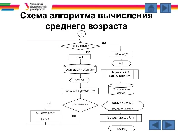 Схема алгоритма вычисления среднего возраста