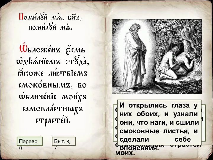 Облекся я одеянием стыда, как листьями смоковницы, во обличение самовольных страстей