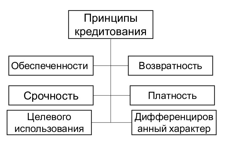 Принципы кредитования Обеспеченности Целевого использования Срочность Возвратность Платность Дифференцированный характер