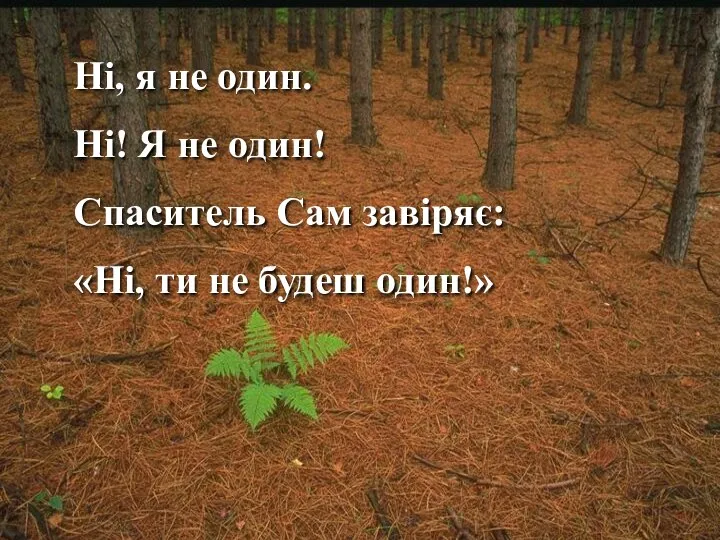 Ні, я не один. Ні! Я не один! Спаситель Сам завіряє: «Ні, ти не будеш один!»