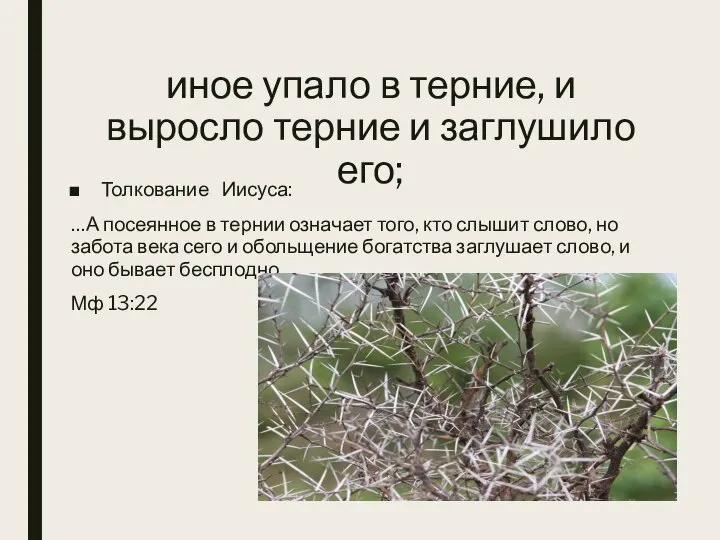 иное упало в терние, и выросло терние и заглушило его; Толкование