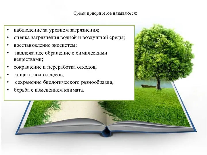 Среди приоритетов называются: наблюдение за уровнем загрязнения; оценка загрязнения водной и