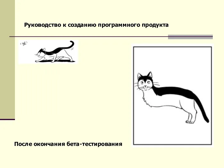 Руководство к созданию программного продукта После окончания бета-тестирования