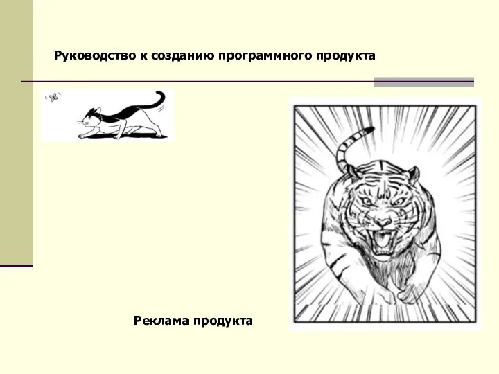 Руководство к созданию программного продукта Реклама продукта