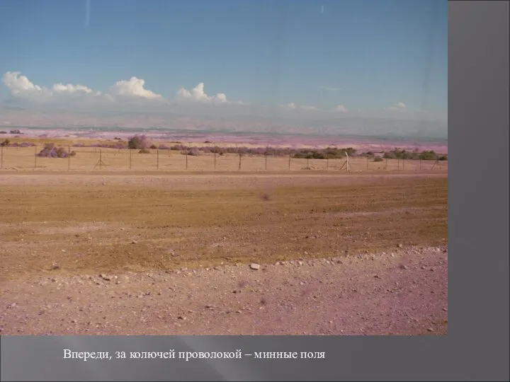 Впереди, за колючей проволокой – минные поля