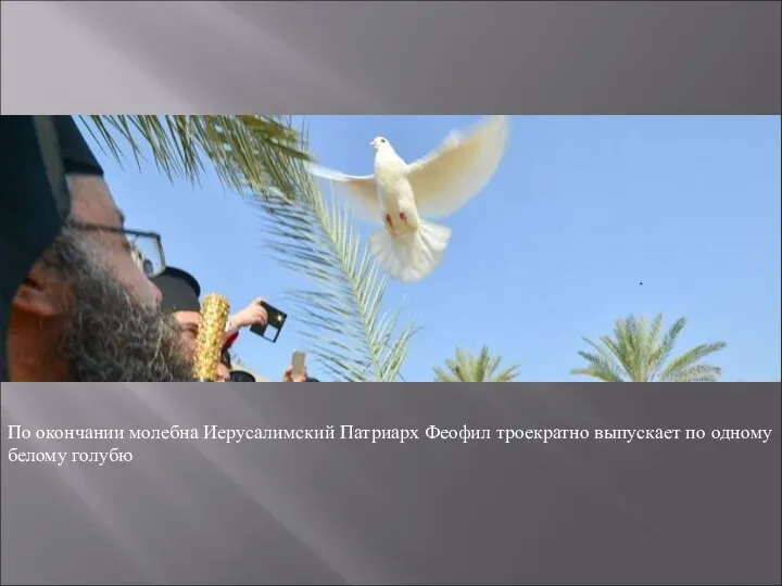 По окончании молебна Иерусалимский Патриарх Феофил троекратно выпускает по одному белому голубю