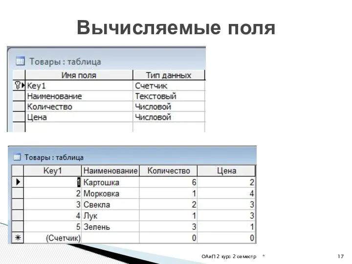 Вычисляемые поля * ОАиП 2 курс 2 семестр