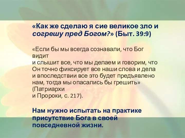 «Как же сделаю я сие великое зло и согрешу пред Богом?»