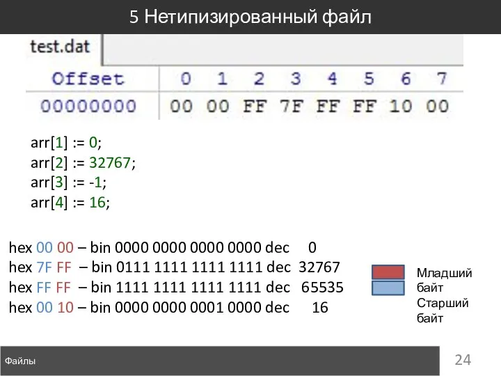 Файлы 5 Нетипизированный файл hex 00 00 – bin 0000 0000