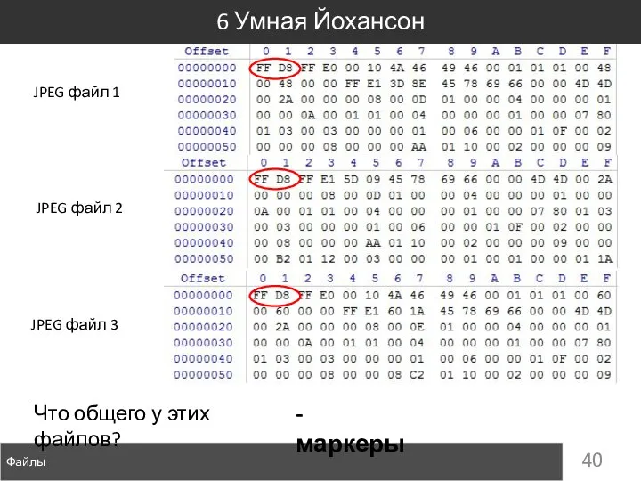 Файлы 6 Умная Йохансон JPEG файл 1 JPEG файл 2 JPEG