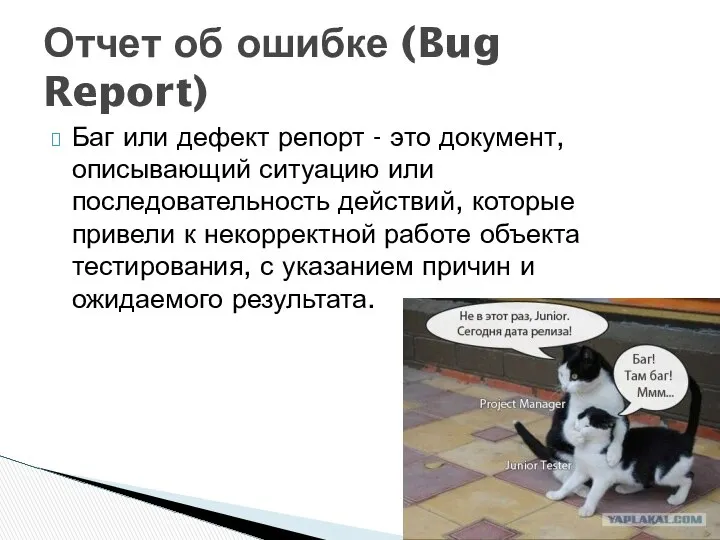 Баг или дефект репорт - это документ, описывающий ситуацию или последовательность