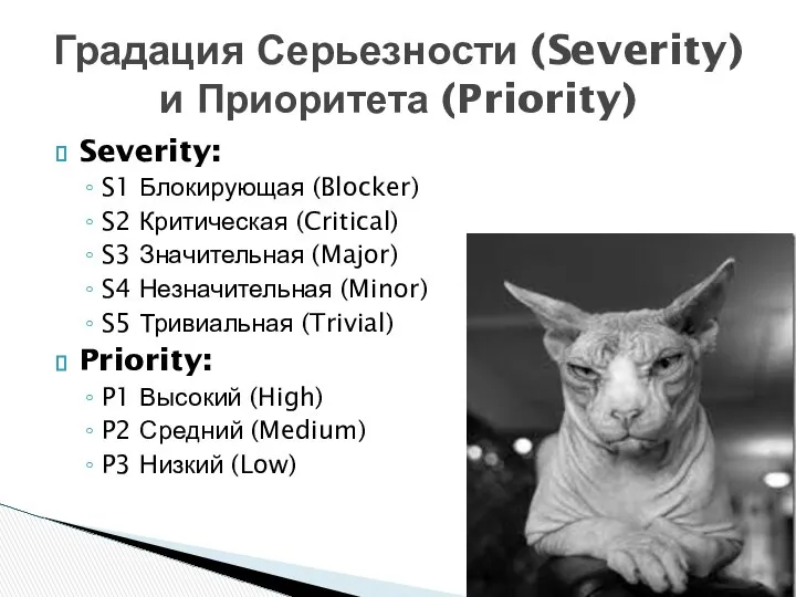 Severity: S1 Блокирующая (Blocker) S2 Критическая (Critical) S3 Значительная (Major) S4