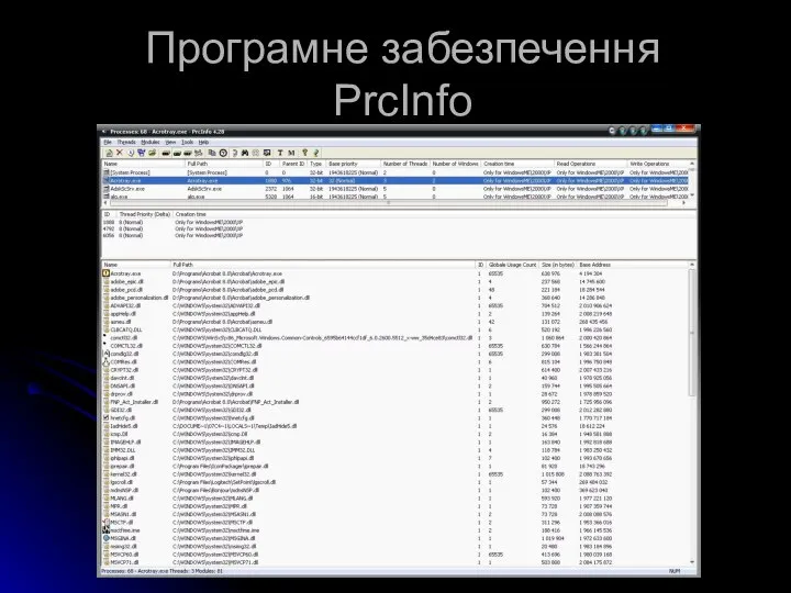 Програмне забезпечення PrcInfo