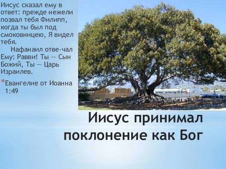 Иисус принимал поклонение как Бог Иисус сказал ему в ответ: прежде