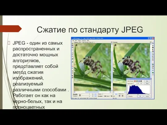 Сжатие по стандарту JPEG JPEG - один из самых распространенных и