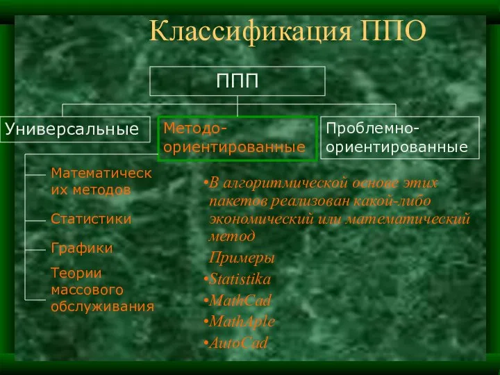 Классификация ППО В алгоритмической основе этих пакетов реализован какой-либо экономический или