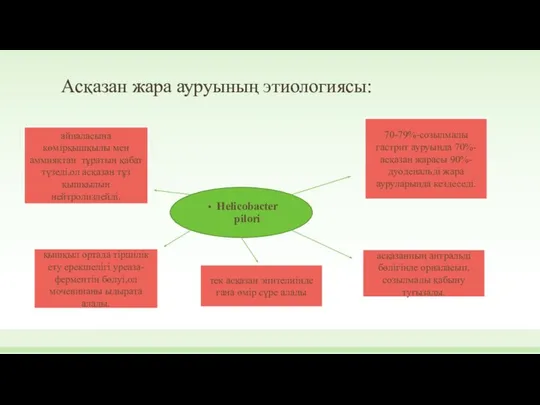 Асқазан жара ауруының этиологиясы: Helicobacter pilori айналасына көмірқышқылы мен аммияктан тұратын