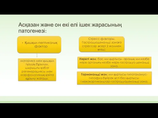 Асқазан және он екі елі ішек жарасының патогенезі: Қышқыл-пептикалық фактор моторика