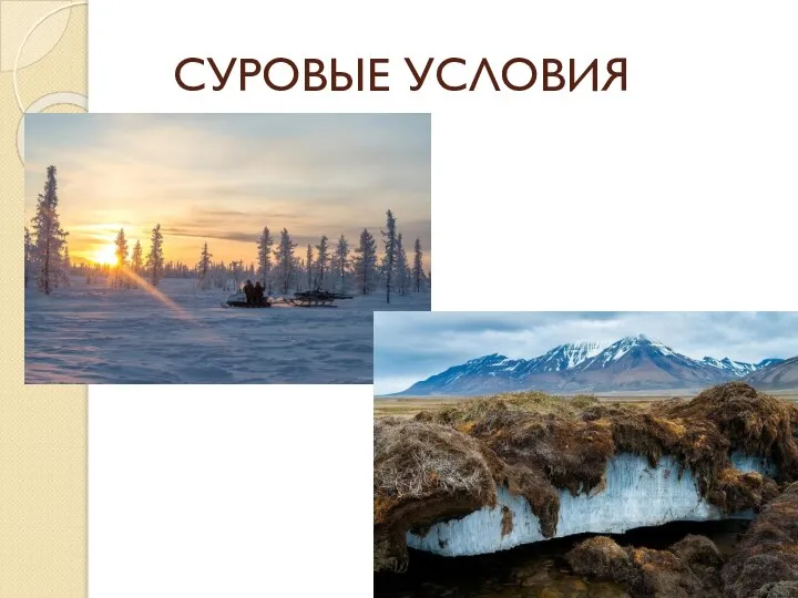 СУРОВЫЕ УСЛОВИЯ