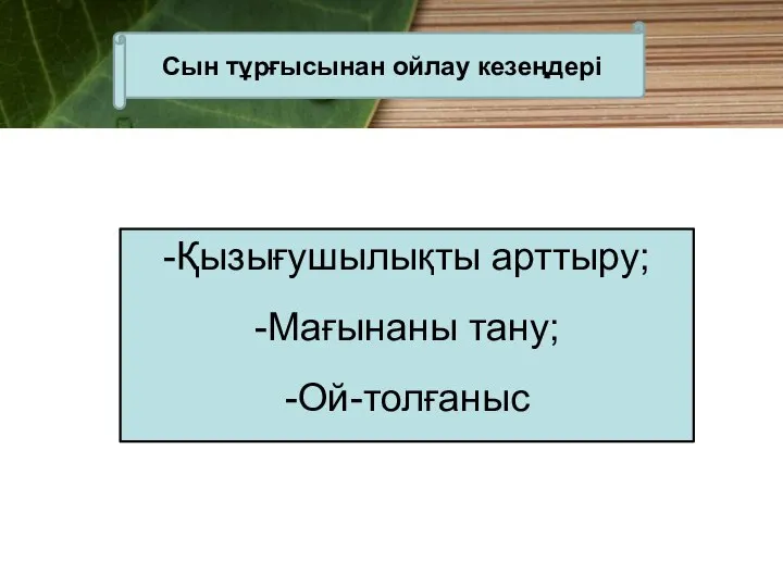 -Қызығушылықты арттыру; -Мағынаны тану; -Ой-толғаныс Сын тұрғысынан ойлау кезеңдері