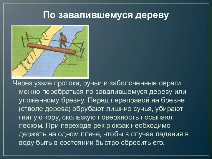 По завалившемуся дереву Через узкие протоки, ручьи и заболоченные овраги можно