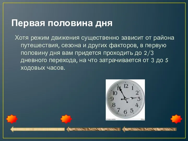 Первая половина дня Хотя режим движения существенно зависит от района путешествия,