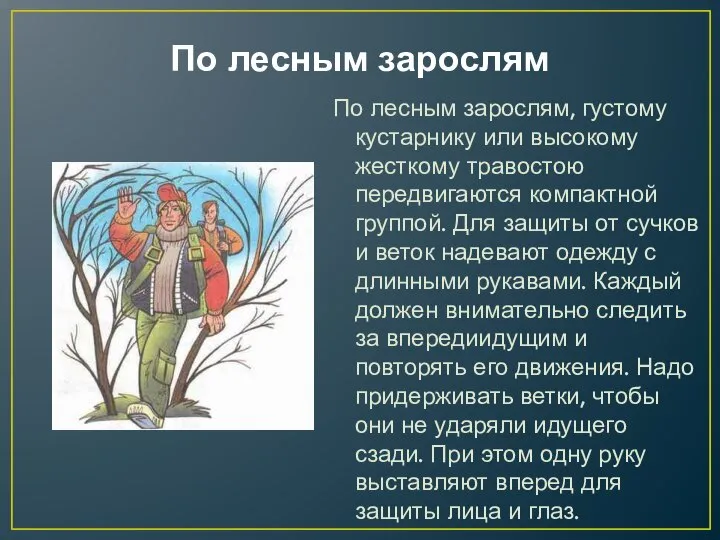 По лесным зарослям По лесным зарослям, густому кустарнику или высокому жесткому