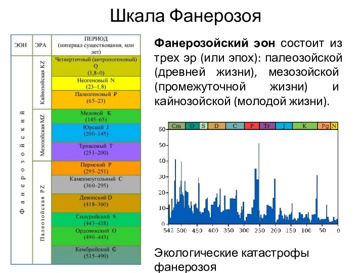 Шкала Фанерозоя Фанерозойский эон состоит из трех эр (или эпох): палеозойской