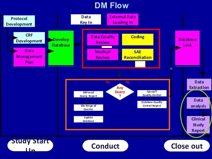 Study Start Up Conduct Close out Data Key In Any Query?