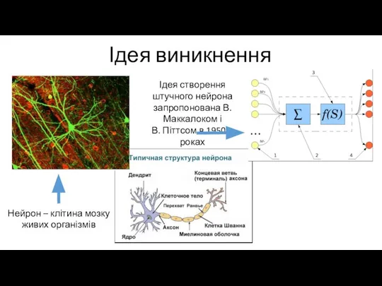 Ідея виникнення Ідея створення штучного нейрона запропонована В. Маккалоком і В.