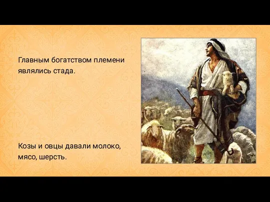 Главным богатством племени являлись стада. Козы и овцы давали молоко, мясо, шерсть.