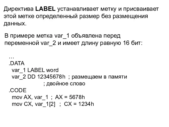 Директива LABEL устанавливает метку и присваивает этой метке определенный размер без