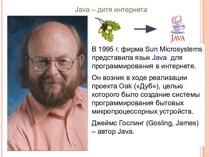 Java – дитя интернета В 1995 г. фирма Sun Microsystems представила