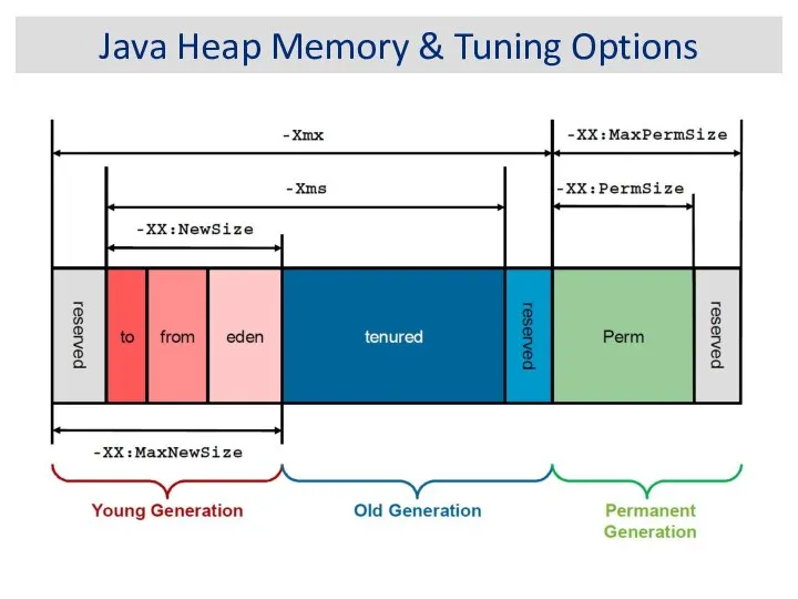 Java Heap Memory & Tuning Options